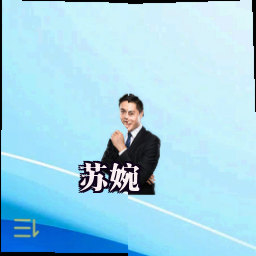 苏婉